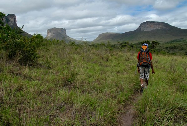 Comment organiser une croisière pour découvrir les traditions musicales au Brésil?