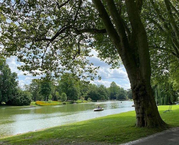 Quelle croisière offre des excursions pour explorer les parcs nationaux en Nouvelle-Zélande?